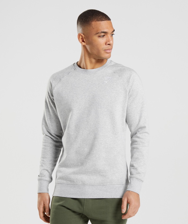 Gymshark Crest Sweatshirt Lys Grå Kjernemergel