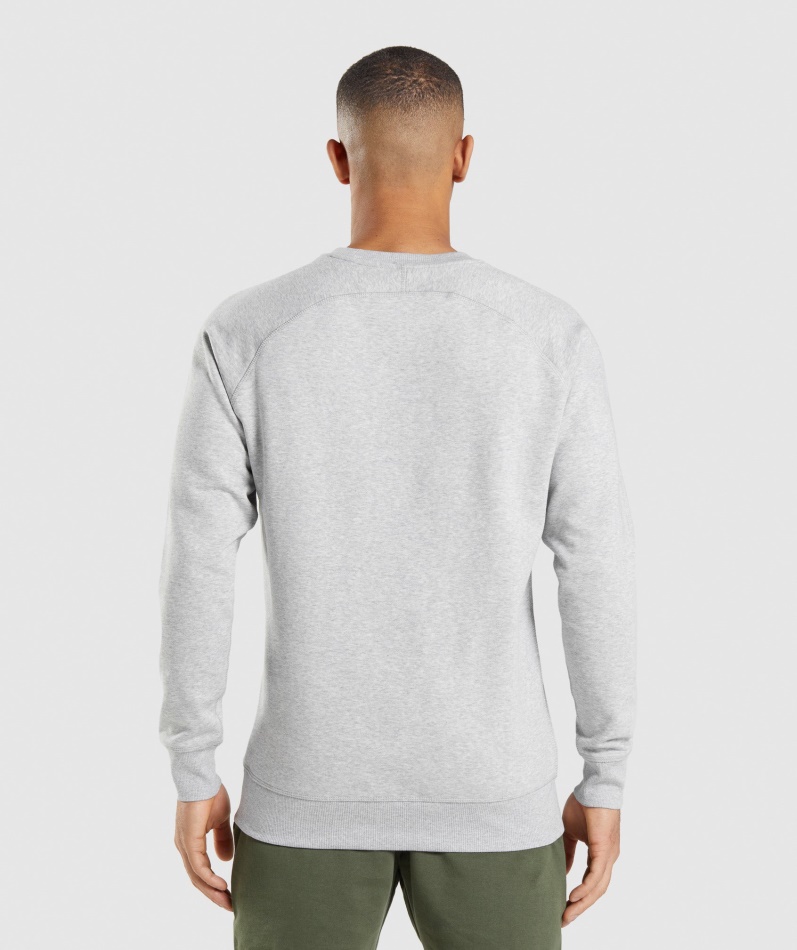 Gymshark Crest Sweatshirt Lys Grå Kjernemergel