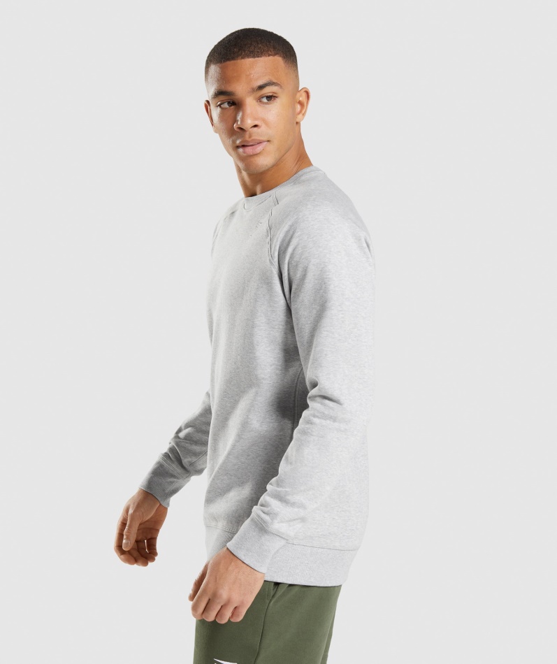 Gymshark Crest Sweatshirt Lys Grå Kjernemergel