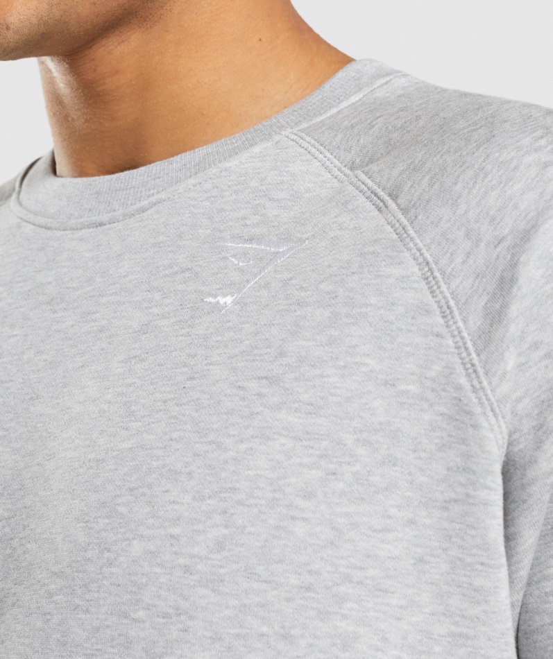 Gymshark Crest Sweatshirt Lys Grå Kjernemergel