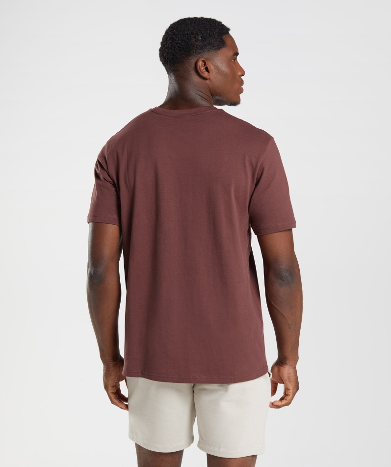 Gymshark Crest T-skjorte Kirsebærbrun