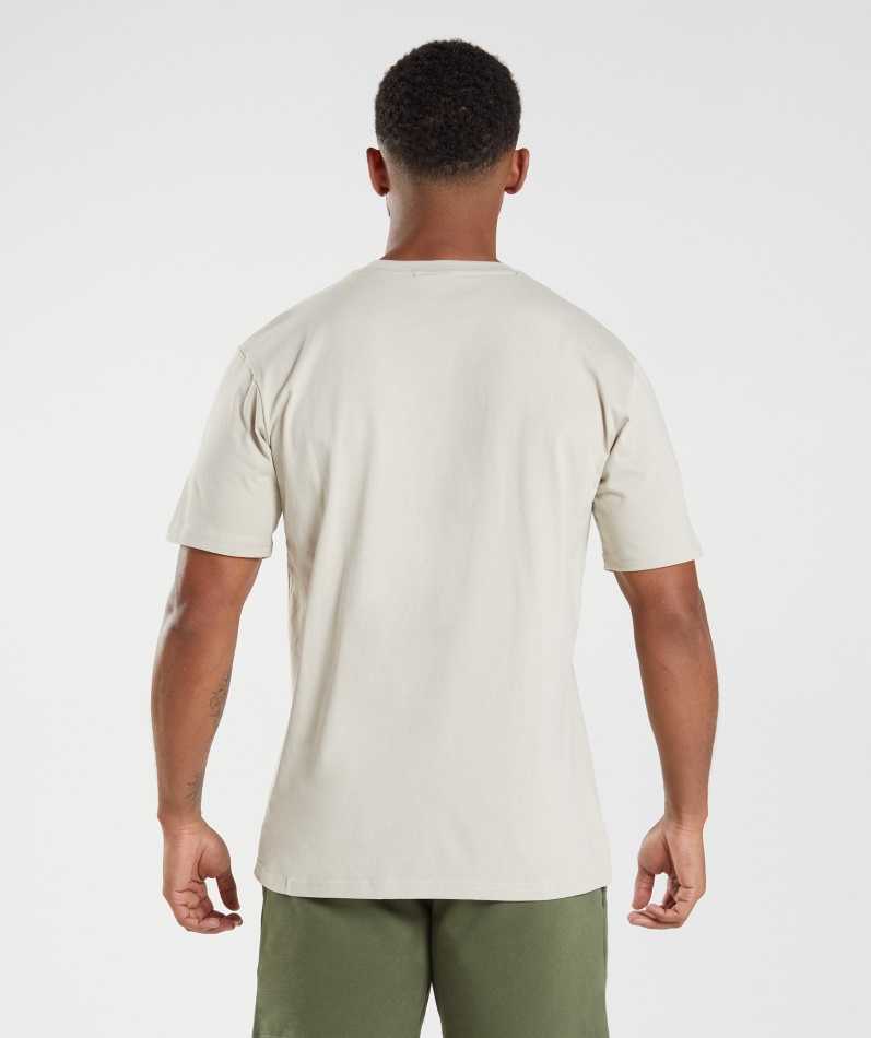 Gymshark Crest T-skjorte Pebble Grå