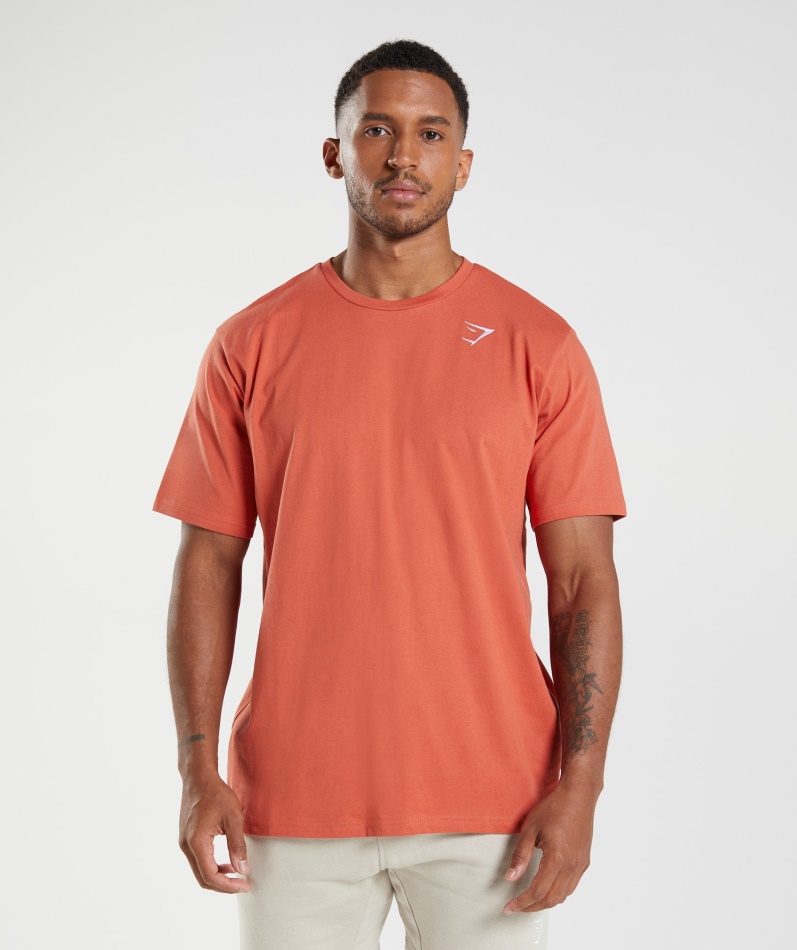 Gymshark Crest T-skjorte Storm Rød