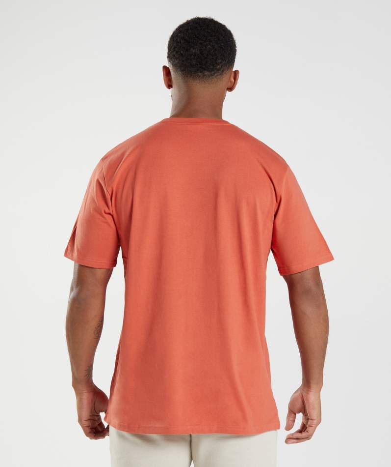 Gymshark Crest T-skjorte Storm Rød