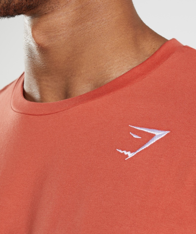 Gymshark Crest T-skjorte Storm Rød