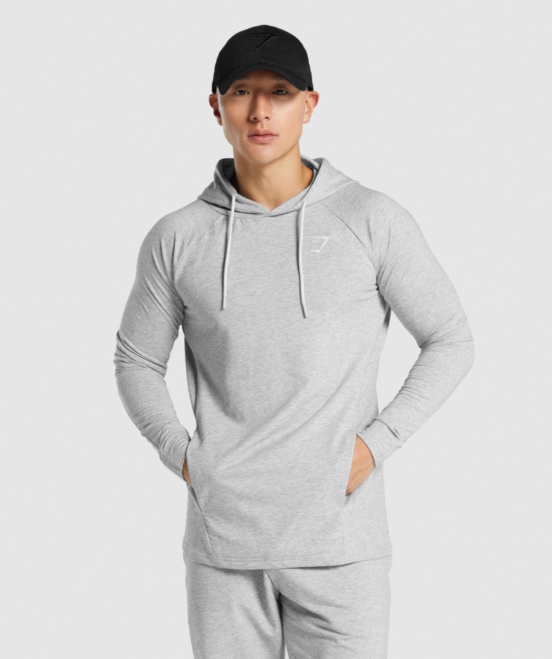 Gymshark Kritisk 2.0 Hettegenser Lys Grå Marl