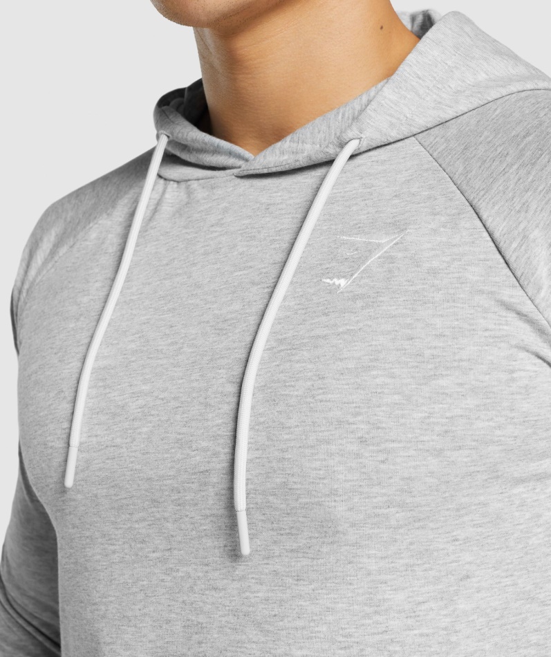 Gymshark Kritisk 2.0 Hettegenser Lys Grå Marl