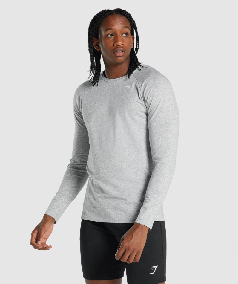 Gymshark Kritisk 2.0 Langermet T-skjorte Lys Grå Mergel