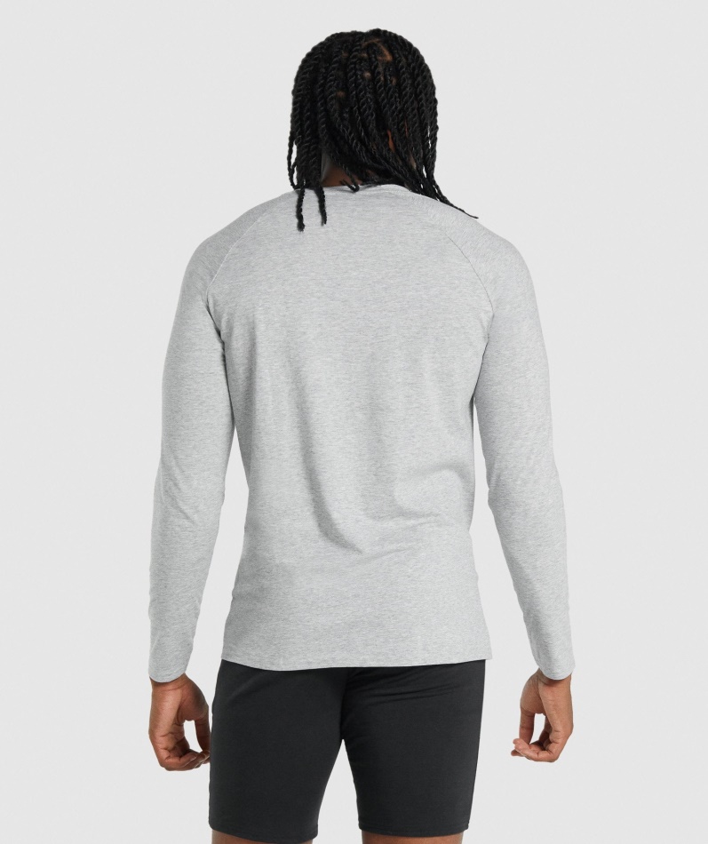 Gymshark Kritisk 2.0 Langermet T-skjorte Lys Grå Mergel