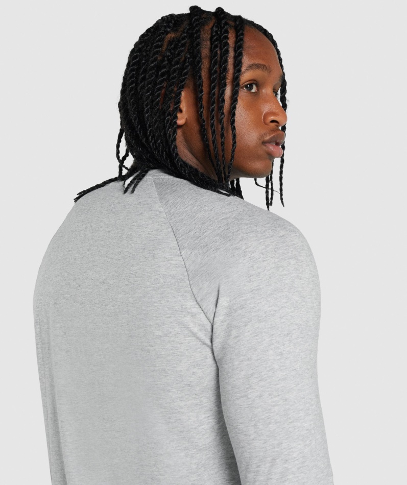 Gymshark Kritisk 2.0 Langermet T-skjorte Lys Grå Mergel