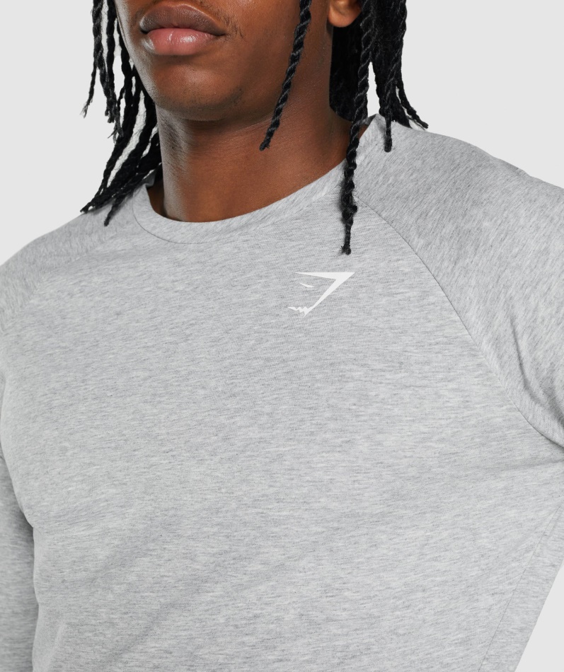 Gymshark Kritisk 2.0 Langermet T-skjorte Lys Grå Mergel