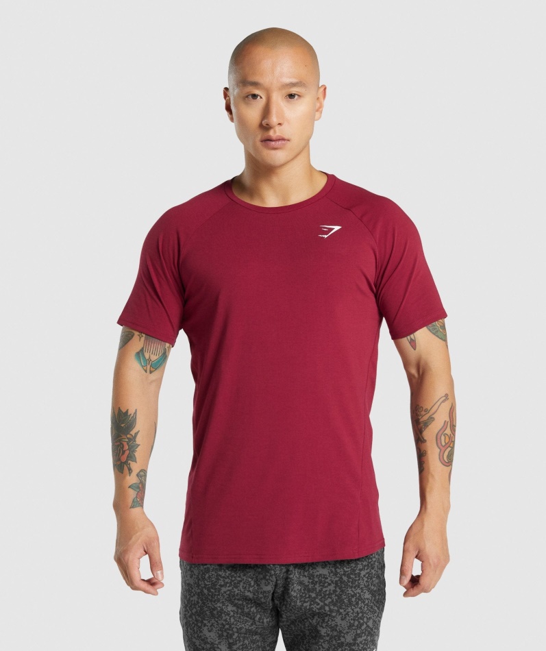 Gymshark Kritisk 2.0 T-skjorte Burgunder