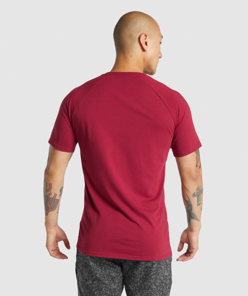 Gymshark Kritisk 2.0 T-skjorte Burgunder