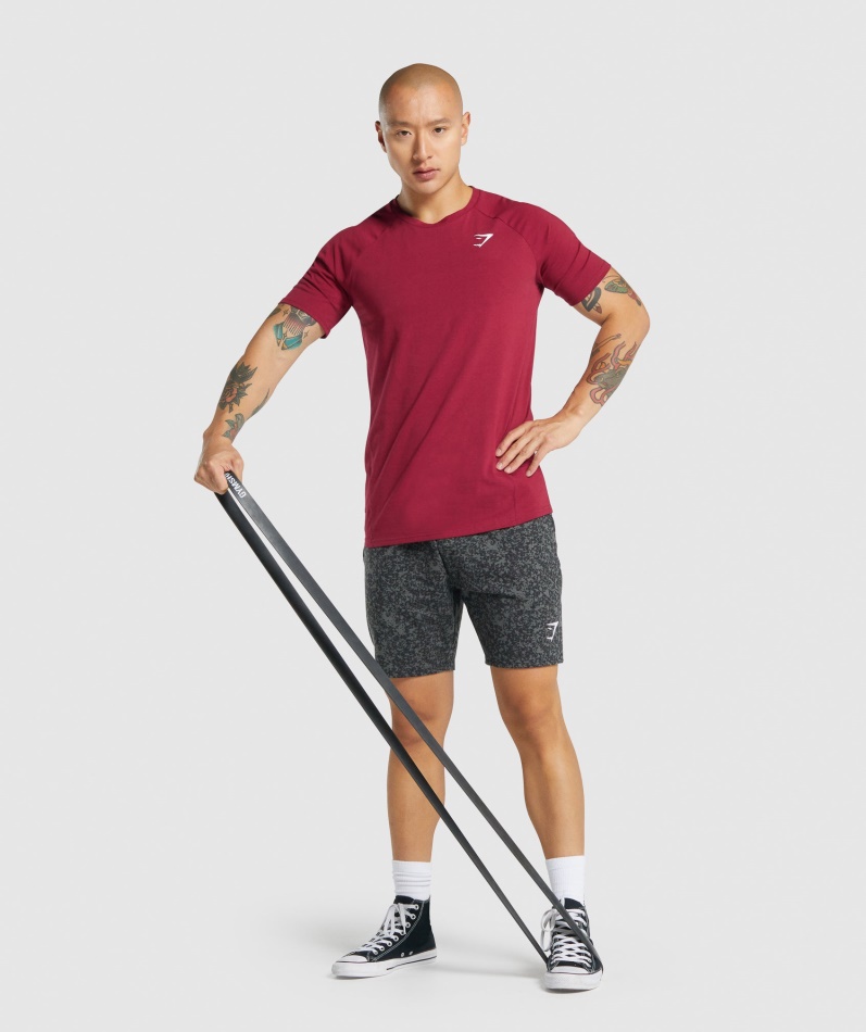 Gymshark Kritisk 2.0 T-skjorte Burgunder