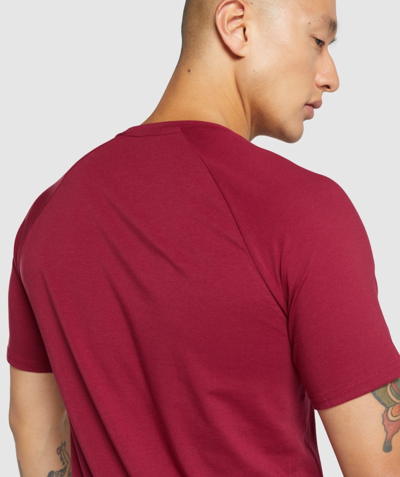 Gymshark Kritisk 2.0 T-skjorte Burgunder