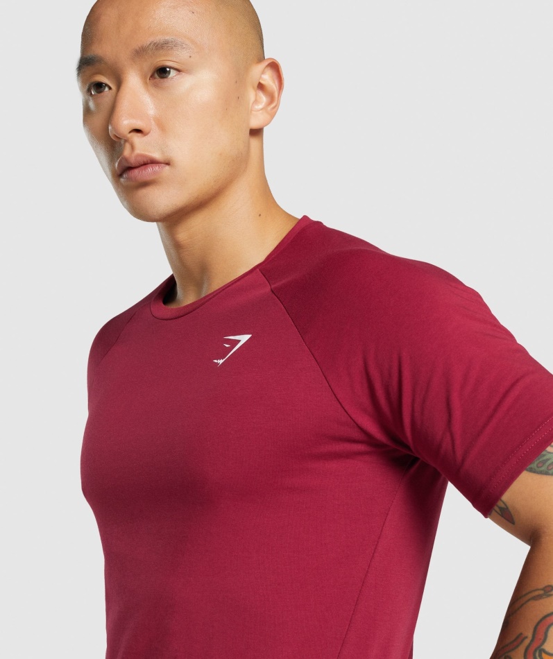 Gymshark Kritisk 2.0 T-skjorte Burgunder
