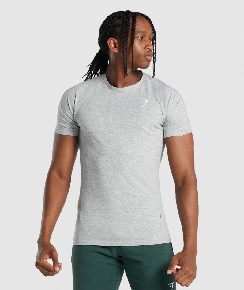 Gymshark Kritisk 2.0 T-skjorte Lys Grå Mergel