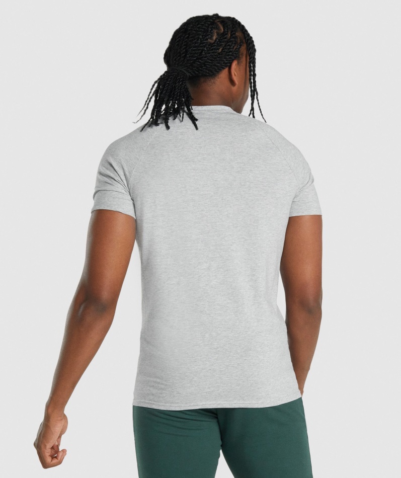 Gymshark Kritisk 2.0 T-skjorte Lys Grå Mergel
