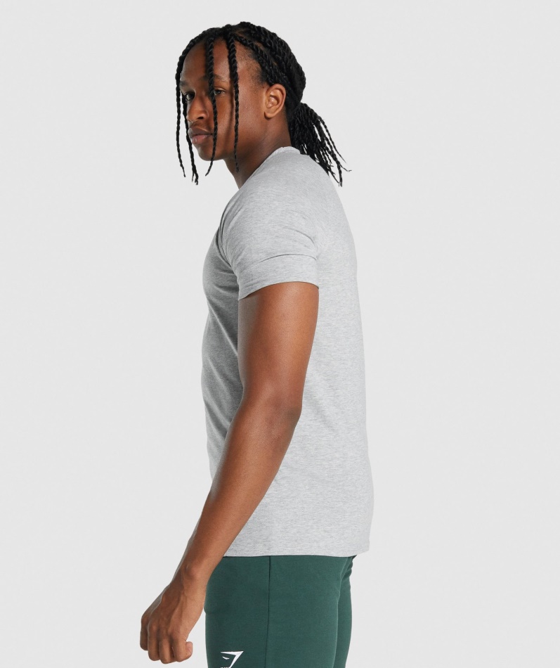 Gymshark Kritisk 2.0 T-skjorte Lys Grå Mergel