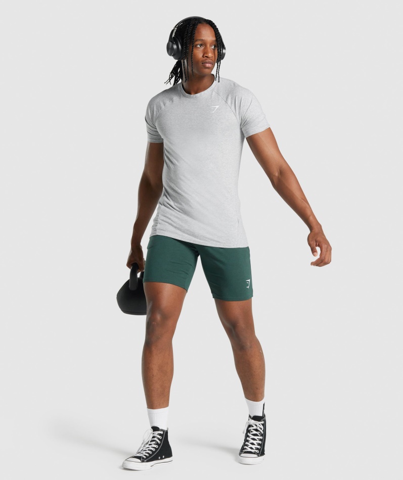 Gymshark Kritisk 2.0 T-skjorte Lys Grå Mergel