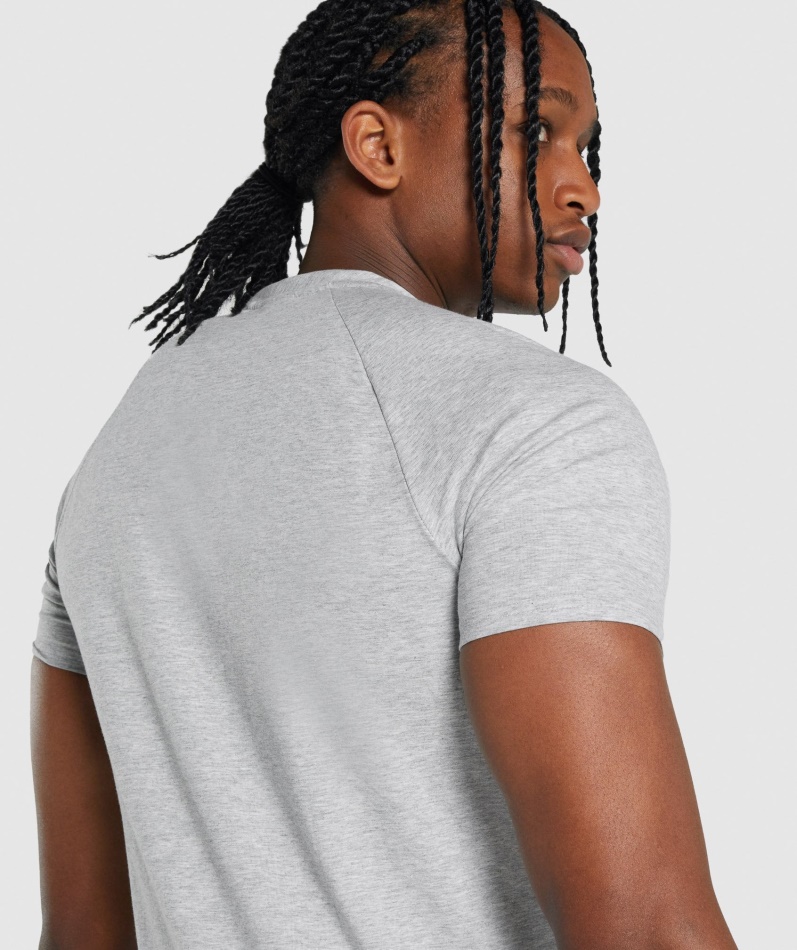 Gymshark Kritisk 2.0 T-skjorte Lys Grå Mergel