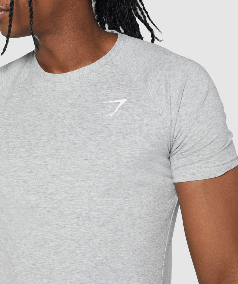 Gymshark Kritisk 2.0 T-skjorte Lys Grå Mergel