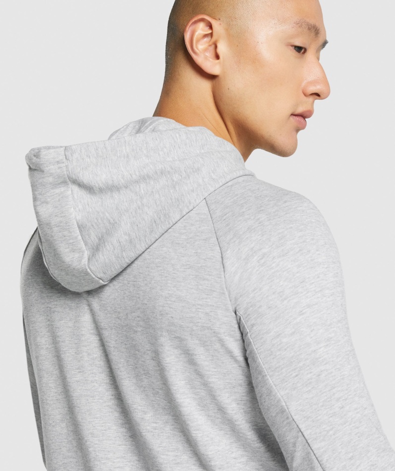 Gymshark Critical 2.0 Hettegenser Med Glidelås Lys Grå Marl