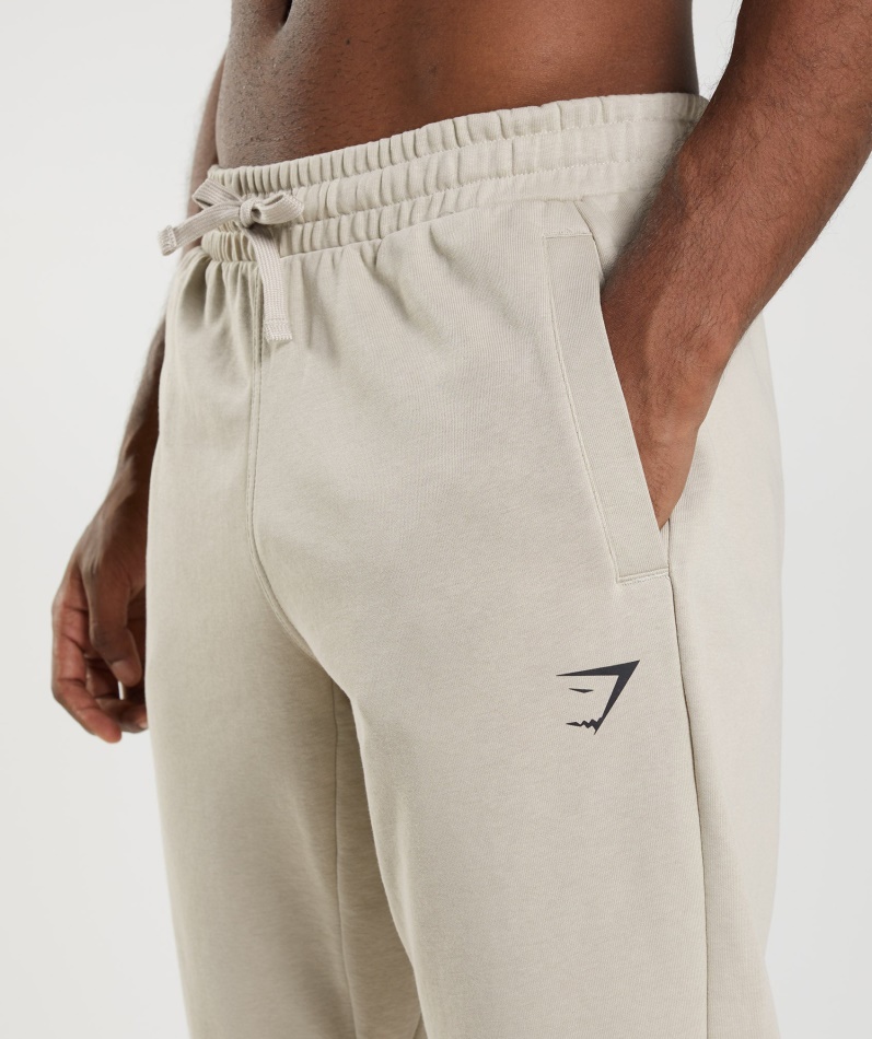 Gymshark Essensielle Overdimensjonerte Joggere Pebble Grey