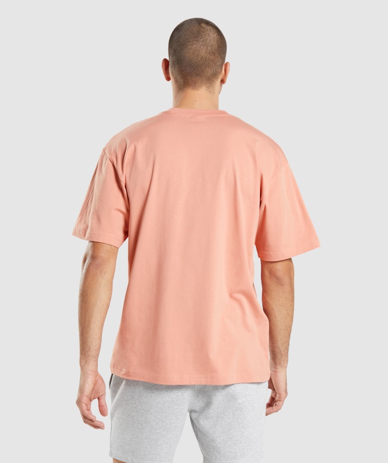 Gymshark Essential Oversized T-skjorte Nevada Rosa