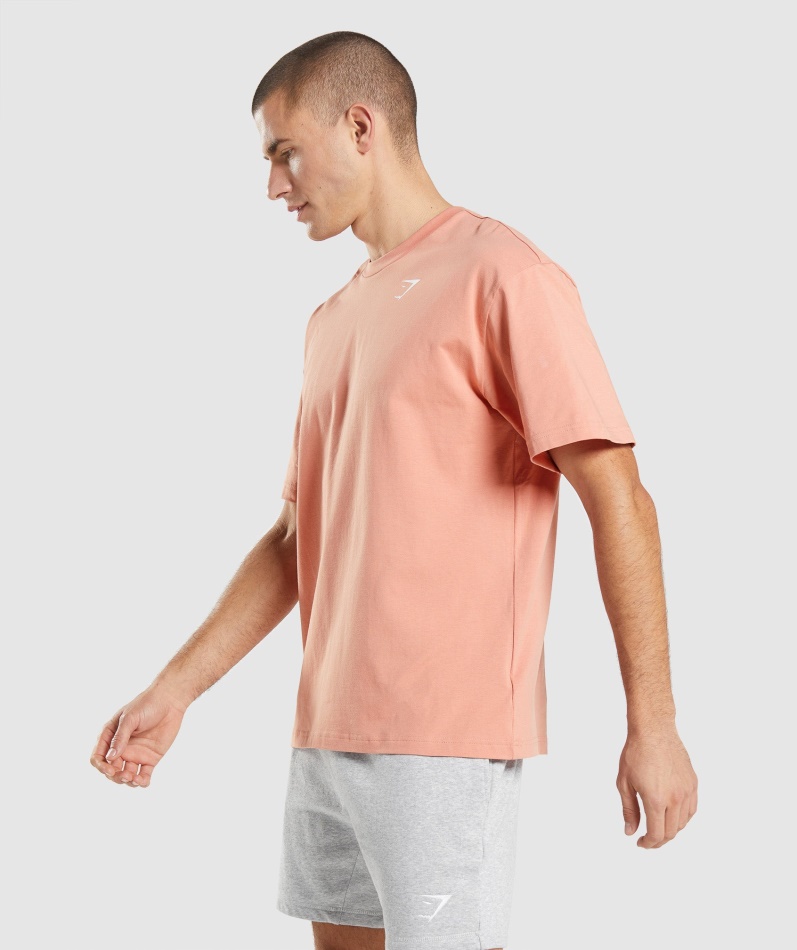 Gymshark Essential Oversized T-skjorte Nevada Rosa