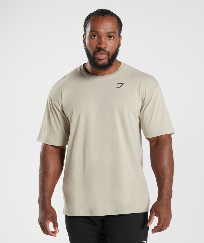 Gymshark Essensiell Overdimensjonert T-skjorte Pebble Grå