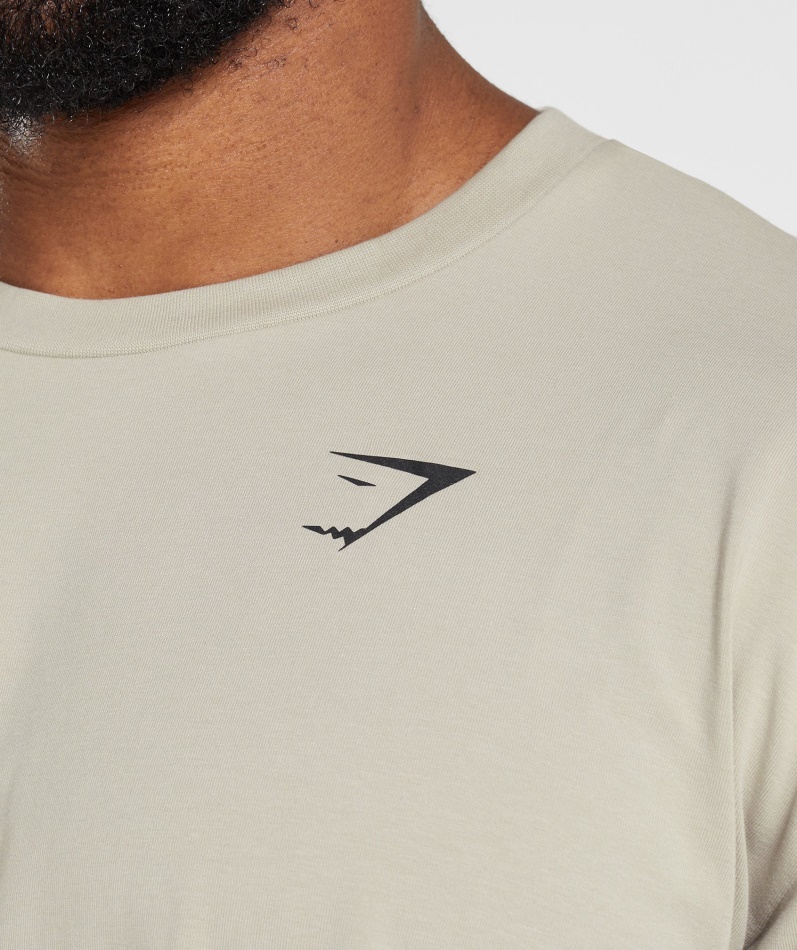Gymshark Essensiell Overdimensjonert T-skjorte Pebble Grå