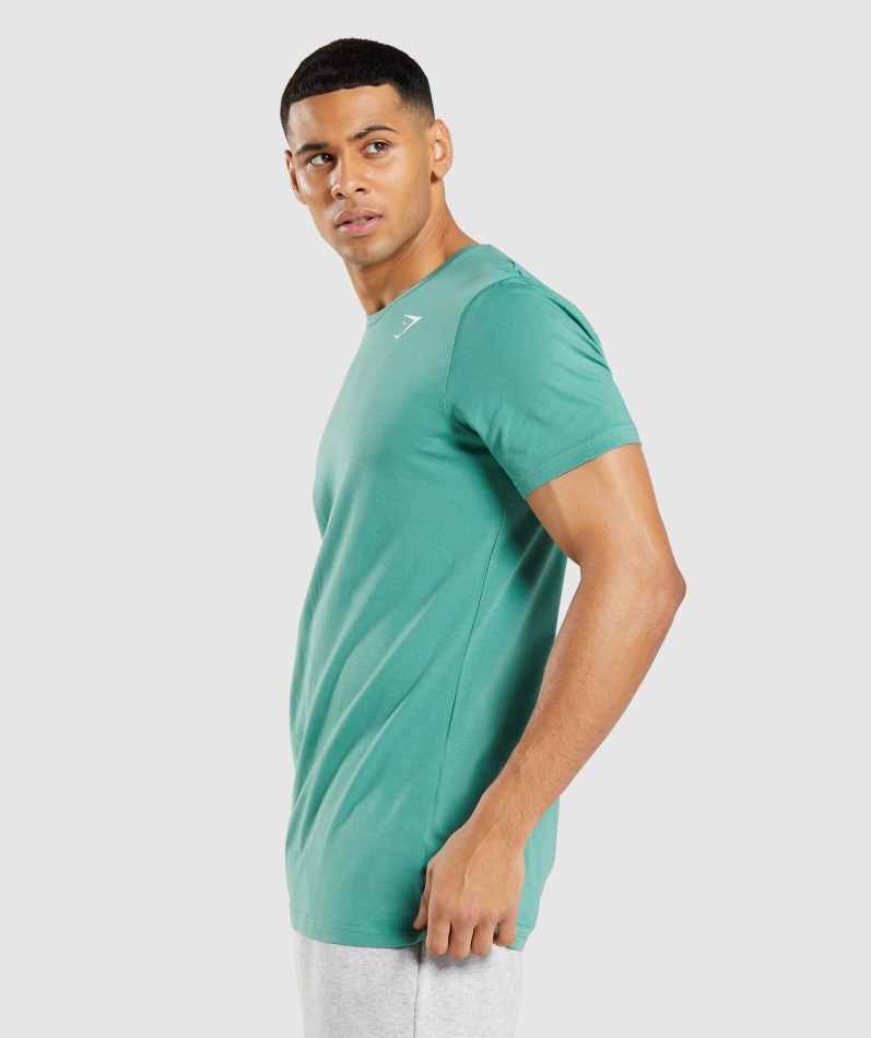 Gymshark Essensiell T-skjorte Alpingrønn