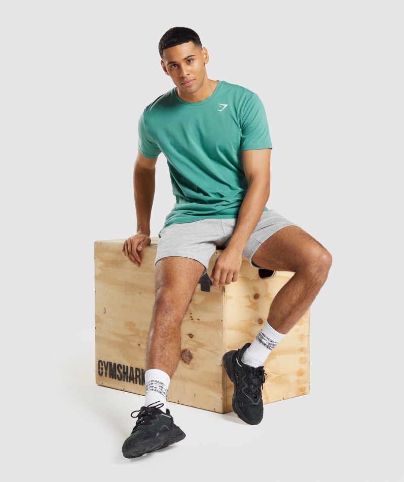 Gymshark Essensiell T-skjorte Alpingrønn