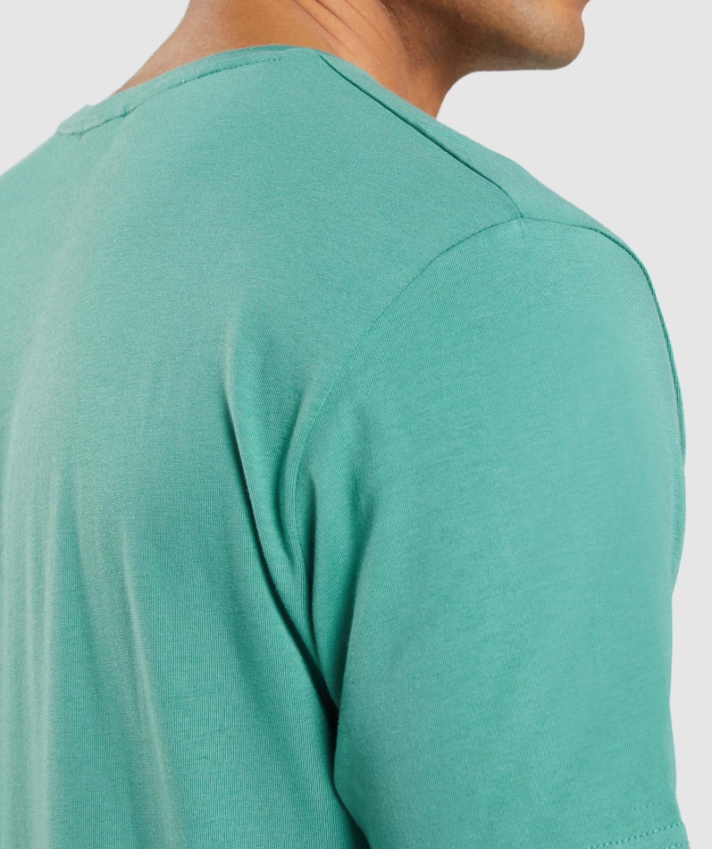 Gymshark Essensiell T-skjorte Alpingrønn