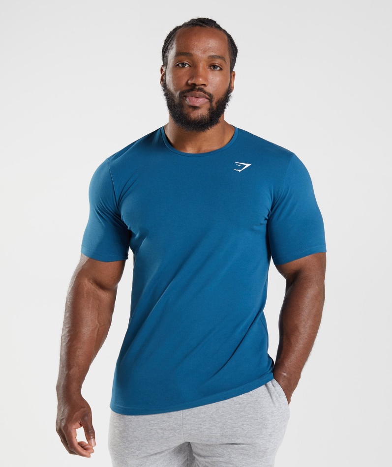 Gymshark Essential T-skjorte Atlantic Blue