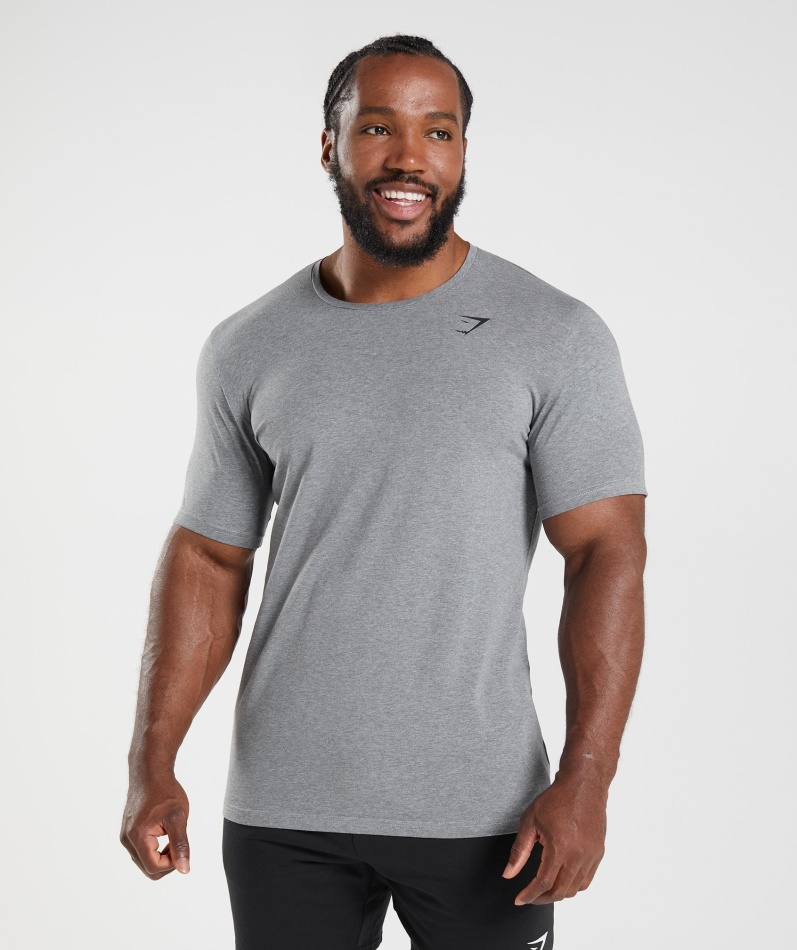 Gymshark Essensiell T-skjorte Koksgrå Mergel