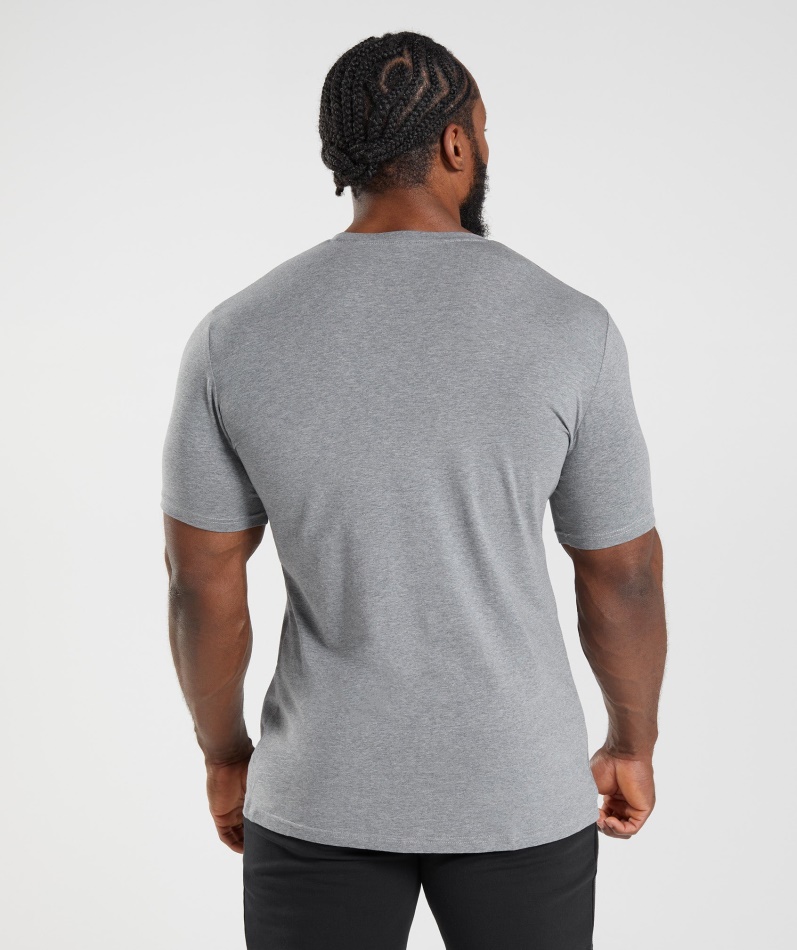 Gymshark Essensiell T-skjorte Koksgrå Mergel