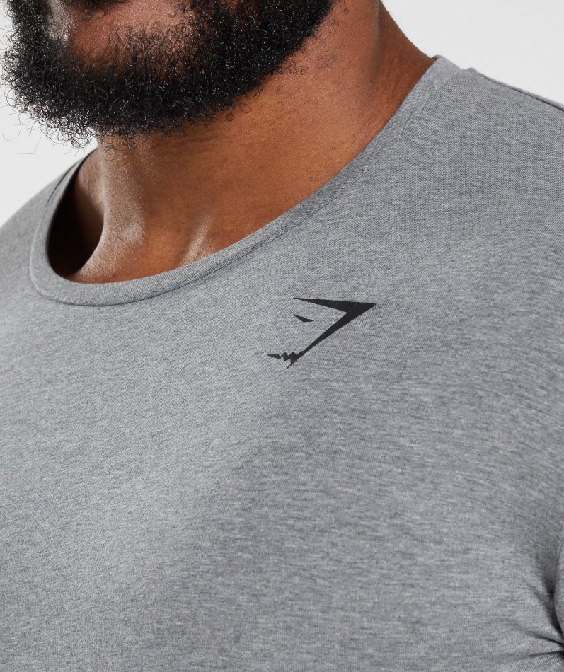 Gymshark Essensiell T-skjorte Koksgrå Mergel