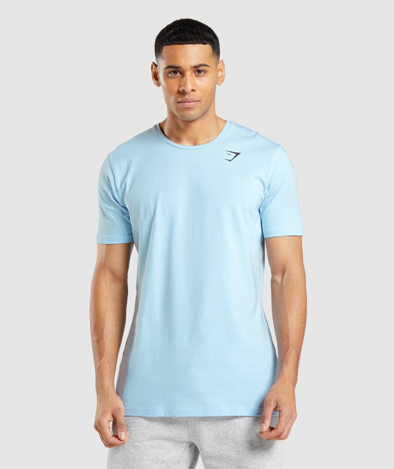 Gymshark Essensiell T-skjorte I Linblå
