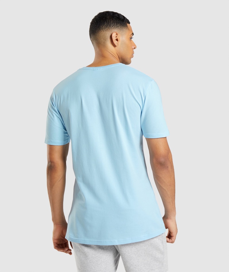 Gymshark Essensiell T-skjorte I Linblå