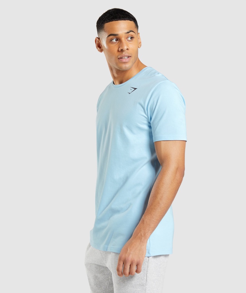 Gymshark Essensiell T-skjorte I Linblå