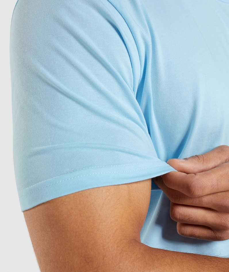 Gymshark Essensiell T-skjorte I Linblå