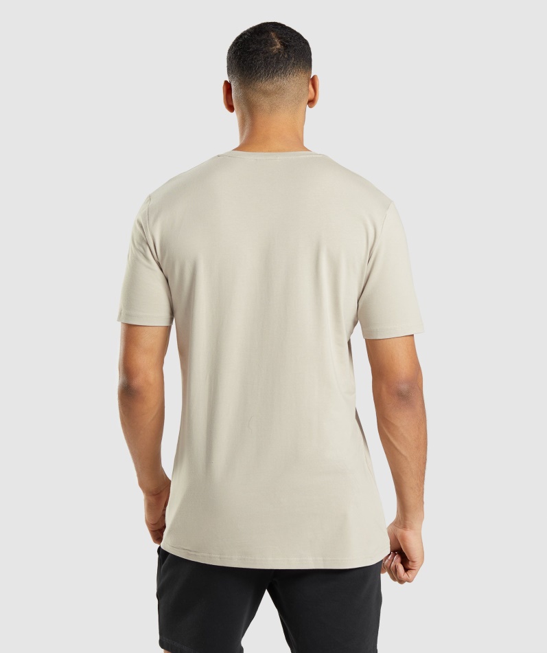 Gymshark Essensiell T-skjorte Pebble Grå