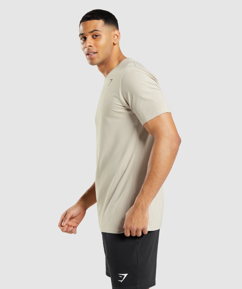 Gymshark Essensiell T-skjorte Pebble Grå