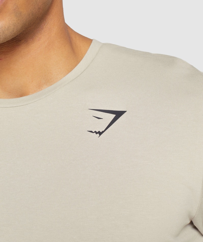 Gymshark Essensiell T-skjorte Pebble Grå