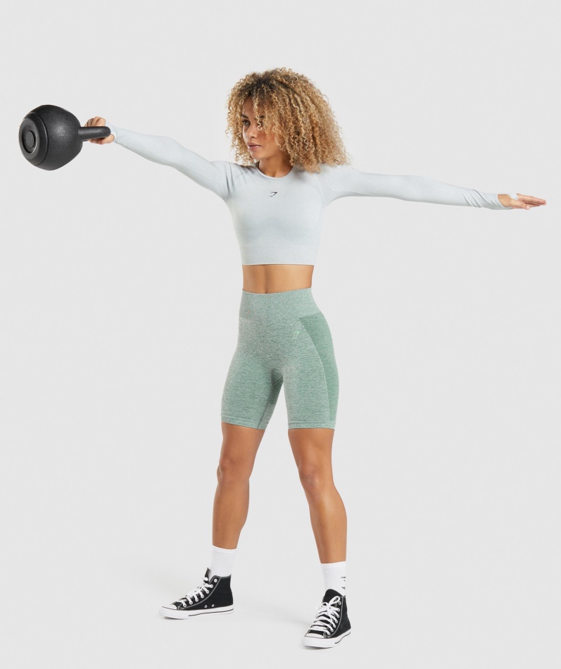 Gymshark Flex Sports Langermet Crop Top Lys Grå Mergel