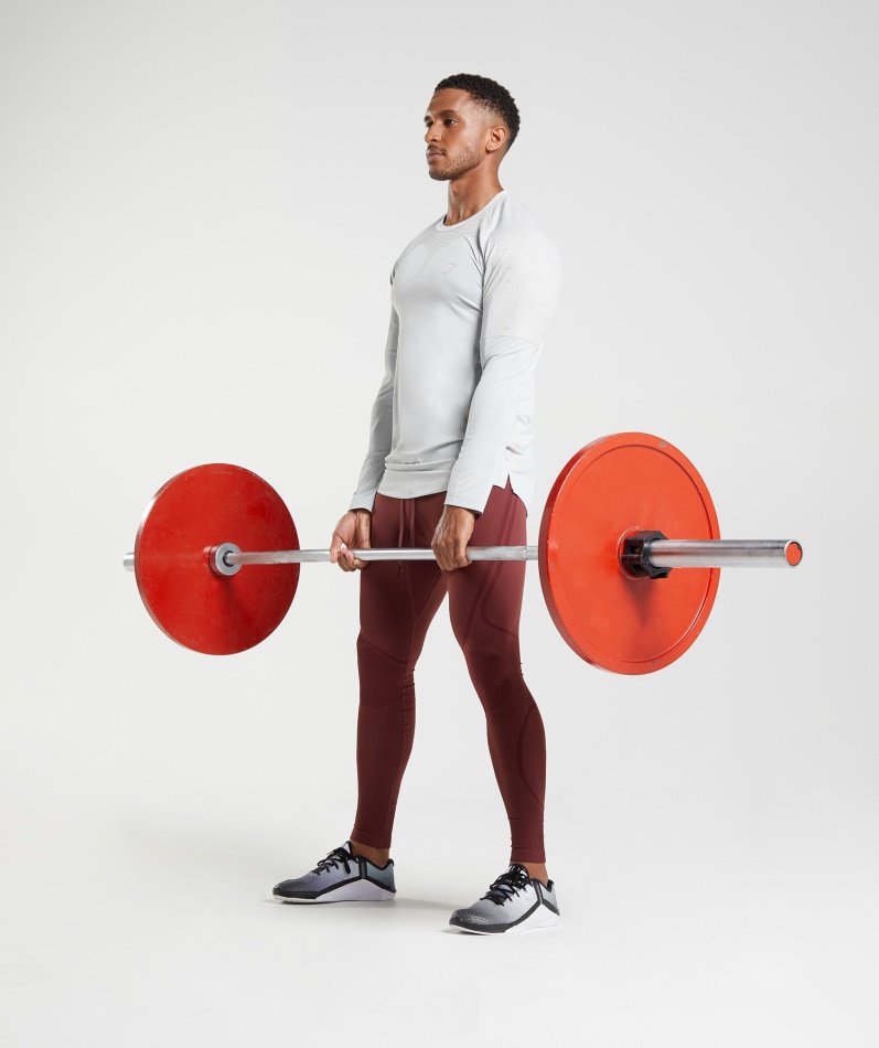 Gymshark Form Langermet T-skjorte Lys Grå