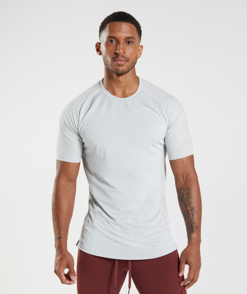 Gymshark Form T-skjorte Lys Grå