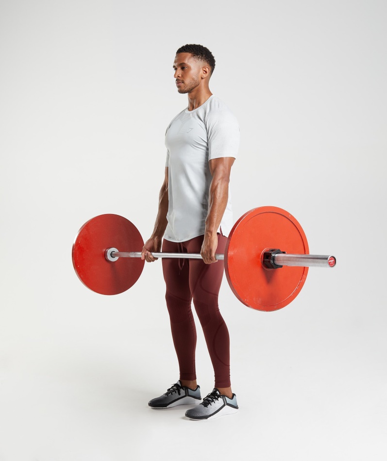 Gymshark Form T-skjorte Lys Grå
